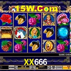 Design Responsivo XX666